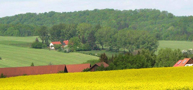 Ferienhaus Gutekunst - Das Gütchen im Felde mitten in der Oberlausitz